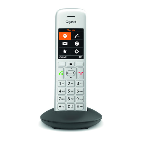 Gigaset CE575HX silber: Schnurloses Telefon mit großem TFT-Farbdisplay