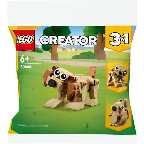 LEGO Creator Geschenkset mit Tieren - Kreatives Bau- und Spielspaß für Kinder ab 6